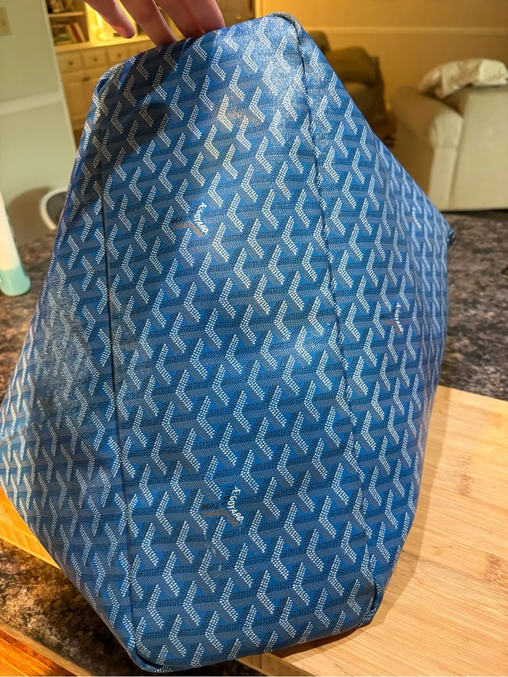 Blue Patterned Tote Bag - Women
